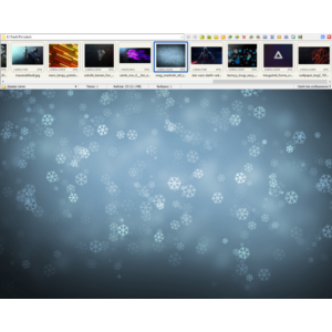 FastStone Image Viewer (Лицензионный ключ) + бонус