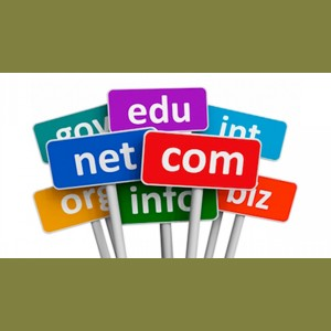 База зарегистрированных доменов (263 млн) 2023-08