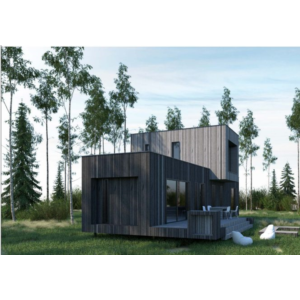 уникальный товар с фиксированной ценой и параметрами ч