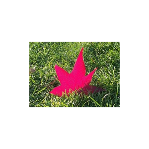 Листья - Черный Кофе - ноты, табы