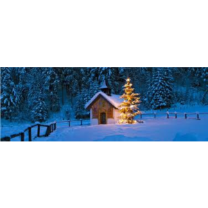 Testitem - Текст, модель 