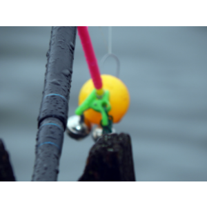 Рыбалка на озере и речная рыба