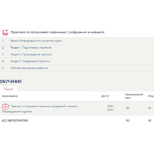 Практика по получению первичных умений.Отчет Синергия