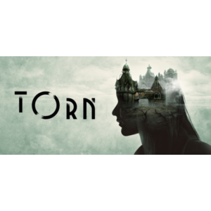 TORN (steam key RU)