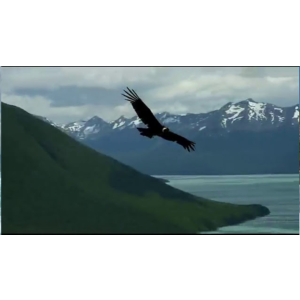 Медитативное упражнение "Моя вершина".