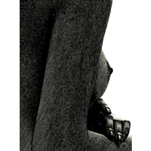 Богиня изврата