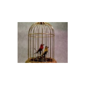 Нотр Дам - Птицы в клетках - ноты, табы