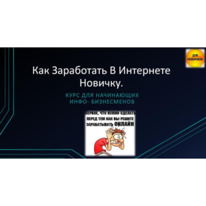 Видео руководство Как заработать в интернете новичку