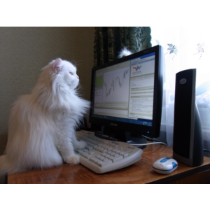 Видеокурс по ремонту ноутбуков-практическое руководство