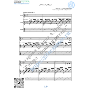 Ave Maria (Вокал Гитара Ноты Табы)