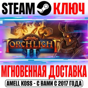 ⚫Torchlight II Steam Ключ РФ+Мир +Бонус