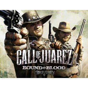 Call of Juarez: Bound in Blood (GLOBAL Steam KEY)