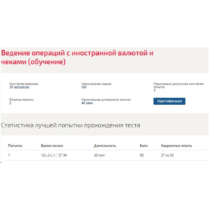 Ведение операций с иностранной валютой и чеками Синерги