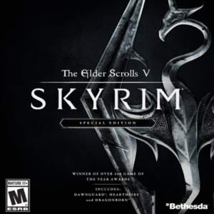 THE ELDER SCROLLS V: SKYRIM SPECIAL ✅STEAM КЛЮЧ