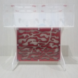 Макет (чертеж) верт. формикария с большой ареной