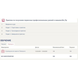 Практика Синергия Менеджмент (Предпринимательство)
