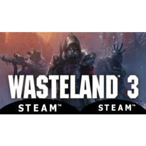 ⭐️ Wasteland 3 - STEAM (Region free)