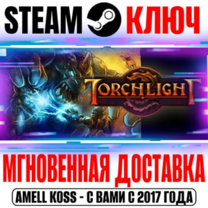 ⚫Torchlight 1 Steam Ключ РФ+Мир +Бонус