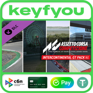 Assetto Corsa Competizione - Intercontinental GT Pack🔥