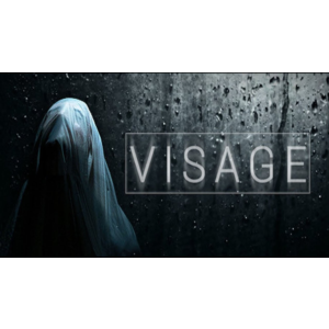 ⭐️ Visage - STEAM (Region free)