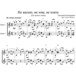 Не жалею, не зову, не плачу (для дуэта гитар)