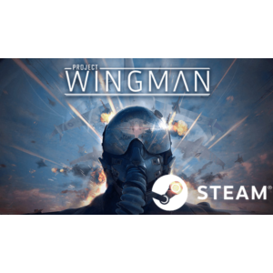 🛩 Project Wingman - STEAM (Region free)