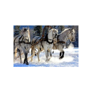 Романс В Лунном сиянии снег серебрится - ноты, табы