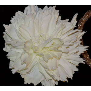 Иллюстрированная инструкция по работе с фоамираном