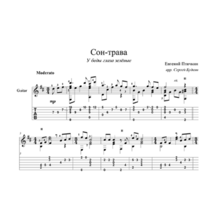 Сон трава (У беды глаза зеленые) - для гитары