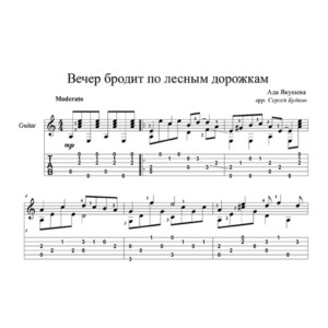 Вечер бродит по лесным дорожкам - на гитаре