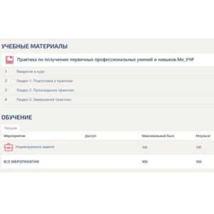 Практика Менеджмент Синергия (Управление ресурсами)