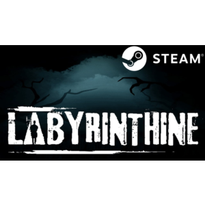 ⭐️ Labyrinthine - STEAM (Region free)
