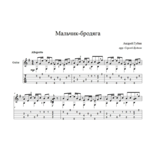 Мальчик-бродяга (Андрей Губин) для гитары