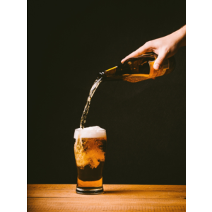 Большая энциклопедия пива