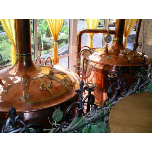 Производство солода, пива и спирта