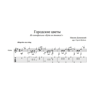Городские цветы на гитаре