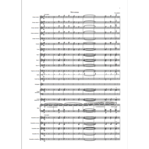 Гаврилов Ю. - Метелица