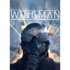 Project Wingman STEAM KEY RU+CIS