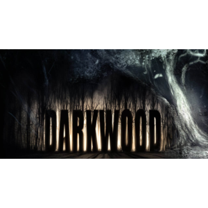 Darkwood (STEAM) Аккаунт 🌍Region Free