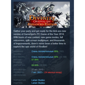 Divinity: Original Sin Enhanced Edition STEAM РОССИЯ