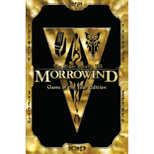 Elder Scrolls III Morrowind GOTY (Steam Gift RegFree)