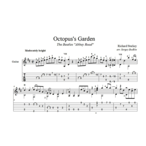 Octopus´s Garden (The Beatles) для гитары