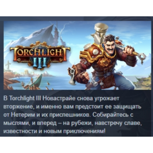 Torchlight 3 III АВТОДОСТАВКА STEAM GIFT РОССИЯ