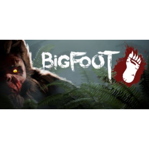 BIGFOOT - Steam общий оффлайн без активаторов 💳