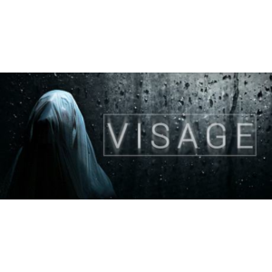 Visage - Steam общий оффлайн без активаторов 💳