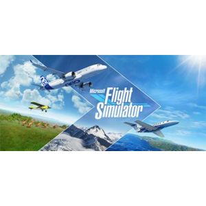 Microsoft Flight Simulator Deluxe - оффлайн аккаунт 💳