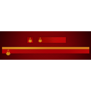 Destiny 2 - Эмблема (Anno Panthera Tigris) PC, PS, Xbox