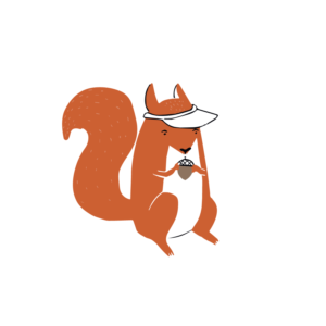 Устав ООО "Сокол предусмотрительный" 2025 года