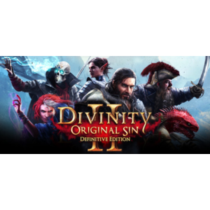 Divinity: Original Sin 2 - Definitive Ed | Region Free