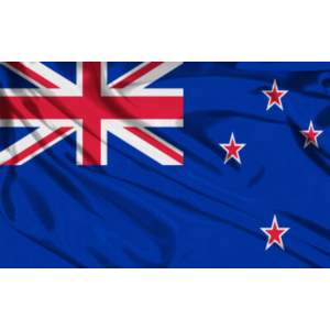 Промокод (купон) Google Ads на 600 NZD. НОВАЯ ЗЕЛАНДИЯ